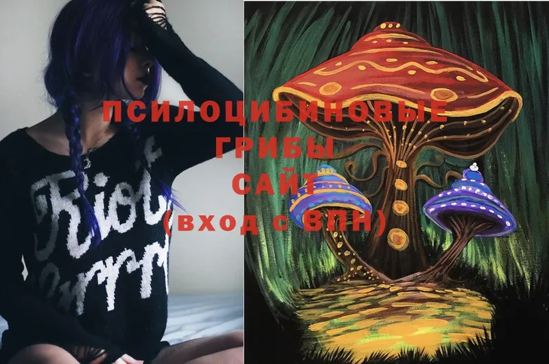 Галлюциногенные грибы Psilocybe  Алдан 